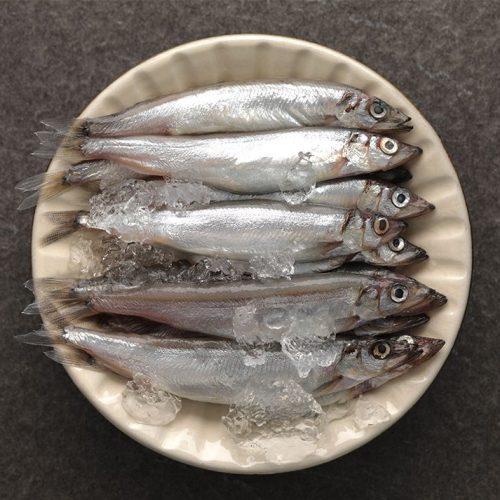 船凍鮮嫩柳葉魚