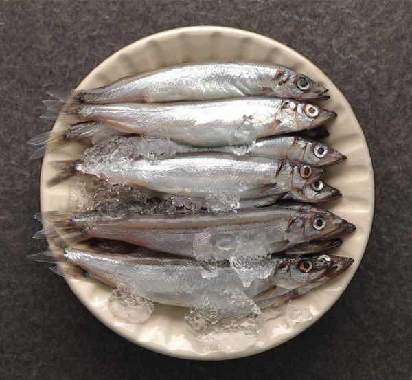 船凍鮮嫩柳葉魚